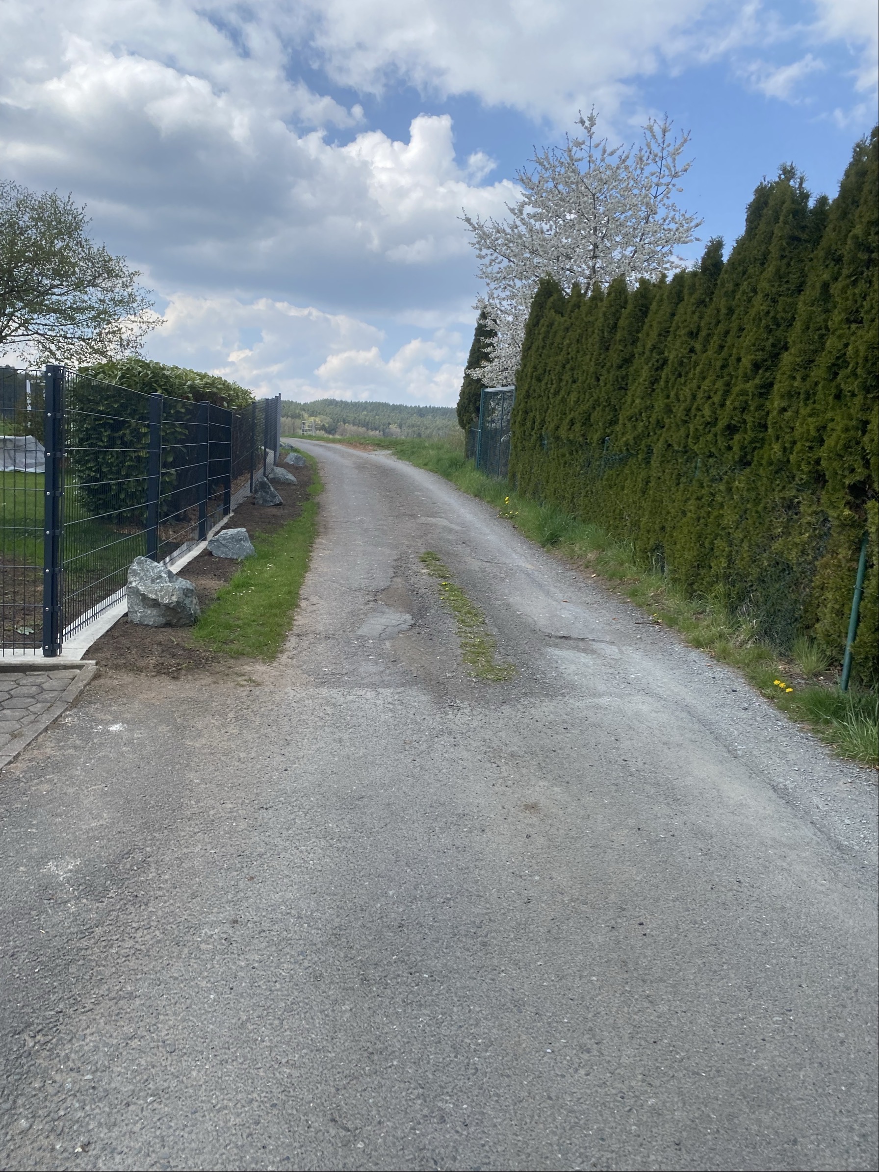 Bildbeschreibung hier einfügen
